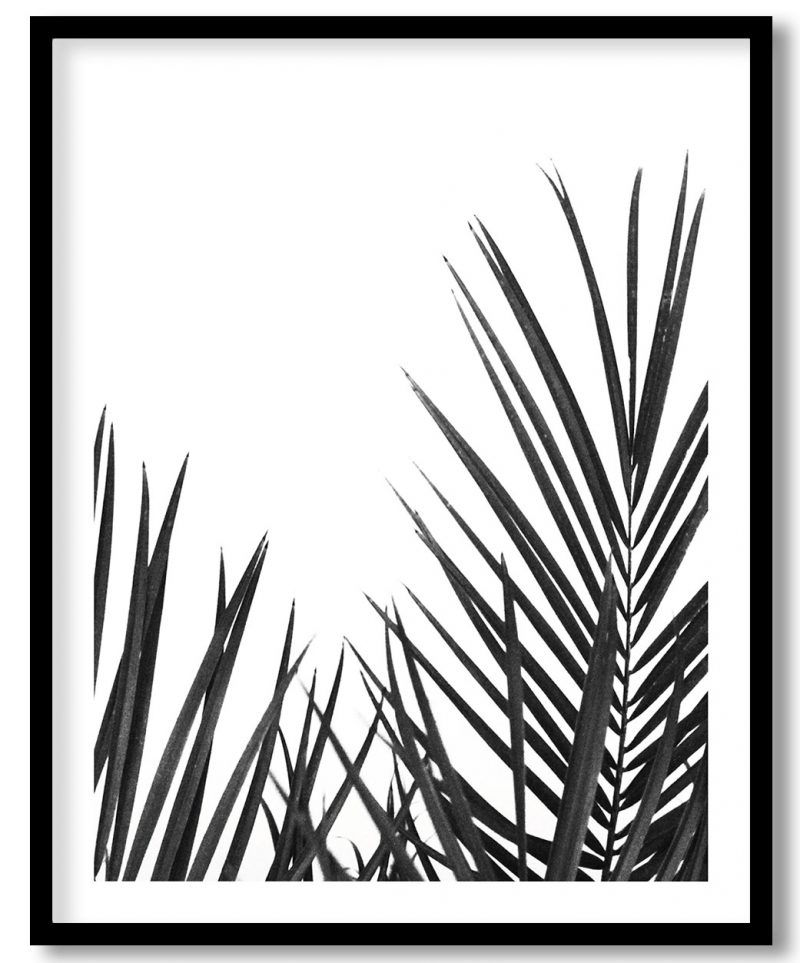 Black and White Palm Tree Print, Black and White Tropical Art, Tropical